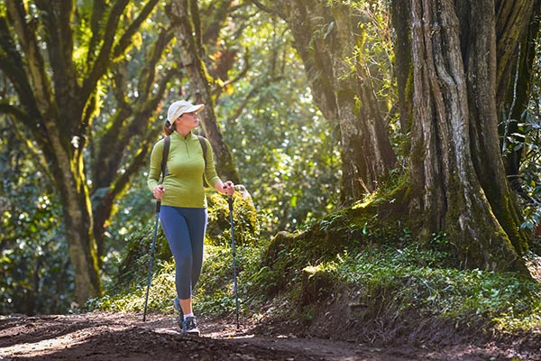Mt Kilimanjaro National Park Hiking