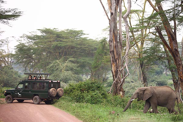 Ngorongoro Crater National Park