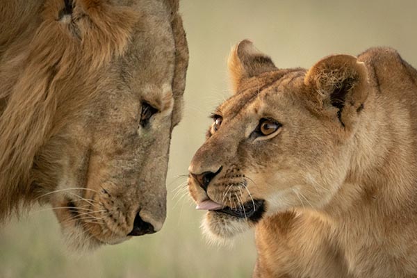 Serengeti National Park