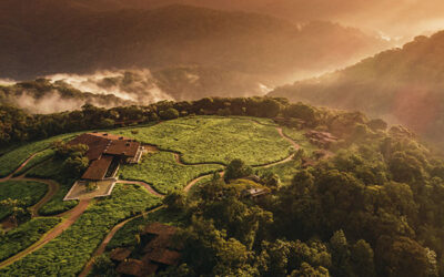 One&Only Nyungwe House