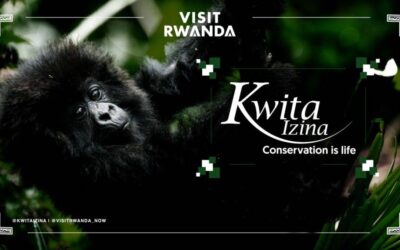 Kwita Izina
