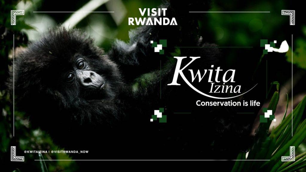 Kwita-Izina-2020