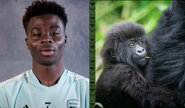 Kwitaizina2-1